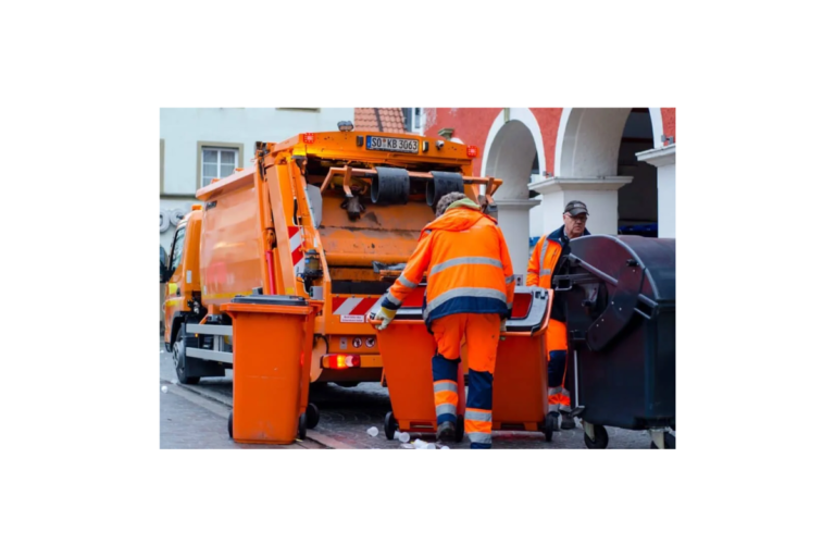 Junk Removal Plant: Transforming Waste Into Opportunity