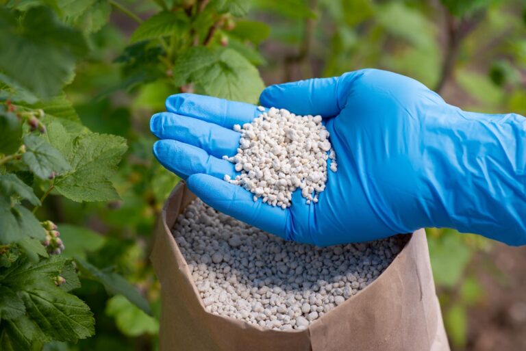 compost uae