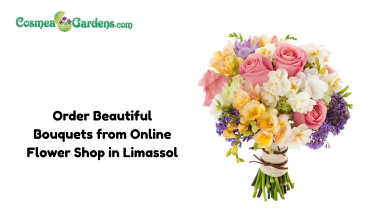 online flower shop limassol